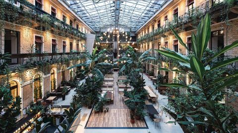 Surrounded by around 34 types of plants, Twentysix Budapest is described as an urban jungle.