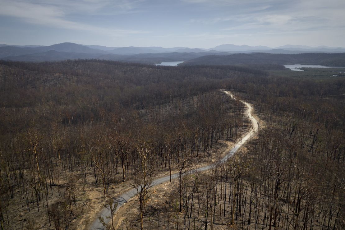 An aerial view shows the destruction left behind by bushfires near Batemans Bay, Australia. The 2019-2020 fires in Australia were among the worst the country has ever seen.