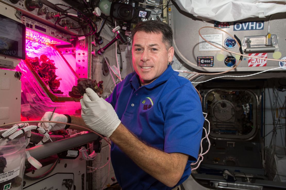 Astronaut Shane Kimbrough worked with the Veggie experiment in 2016.