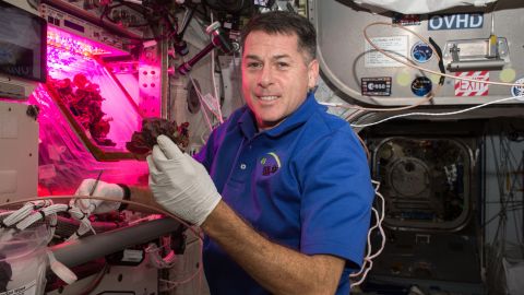 Astronaut Shane Kimbrough worked with the Veggie experiment in 2016.