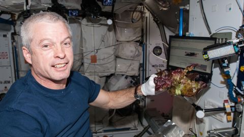 Astronaut Steve Swanson harvested some of the first crop in June 2014. It was frozen and sent back to Earth for testing.