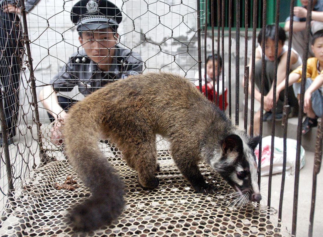 Picture taken in May 2003 shows a policeman watching over a civet cat captured in the wild by a farmer in Wuhan, central China's Hubei province. 