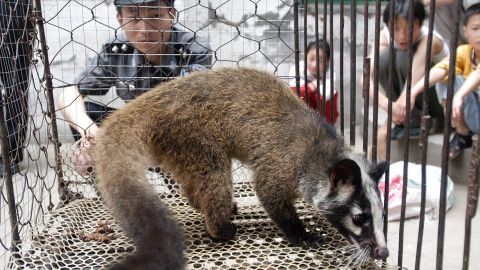 Picture taken in May 2003 shows a policeman watching over a civet cat captured in the wild by a farmer in Wuhan, central China's Hubei province. 