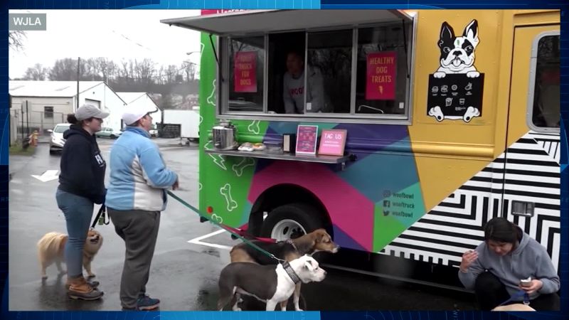 This food truck serves cuisine specifically made for dogs