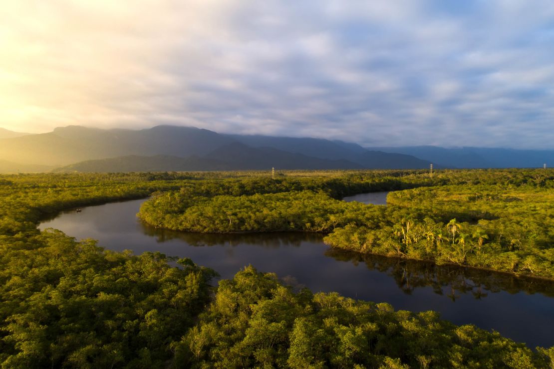 Some scientists say the Amazon rainforest is already facing its tipping point. 