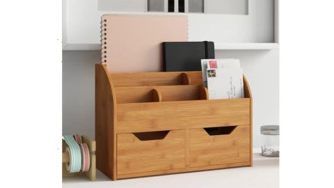 Wayfair Dotted Line Gus Bamboo Desk Organizer