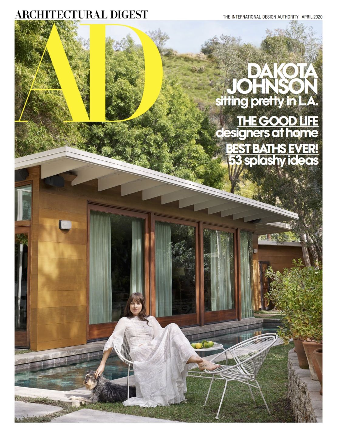 dakota johnson architectual digest 2