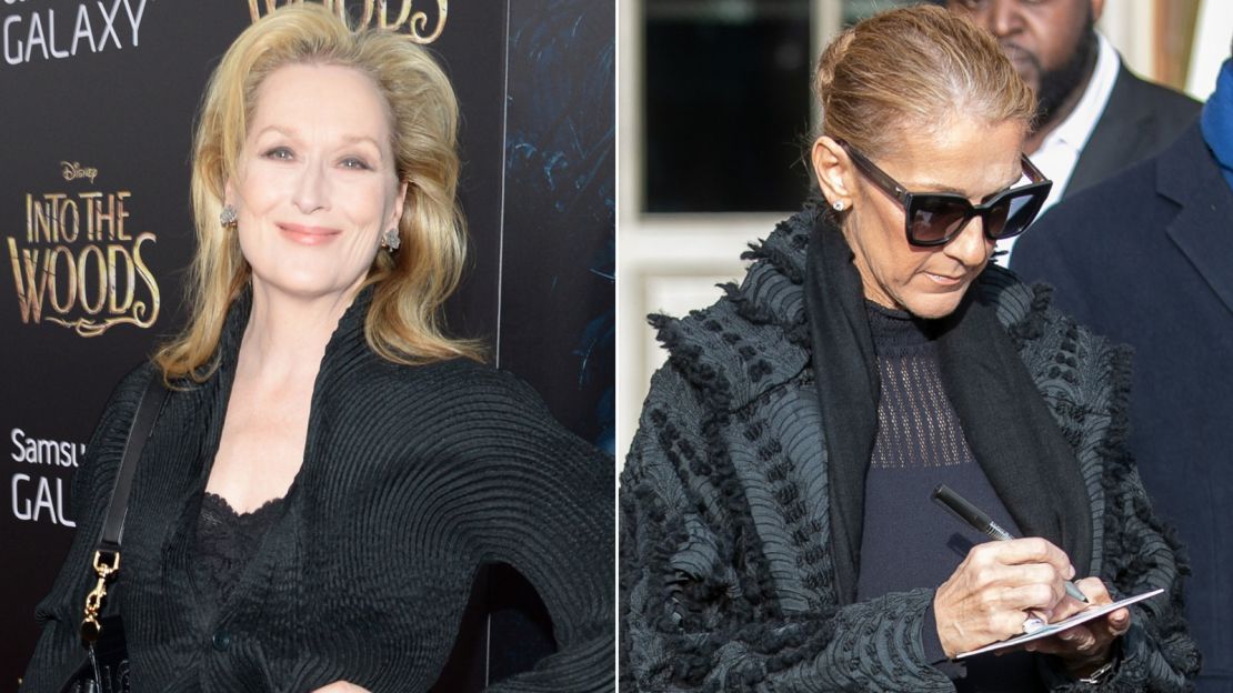 Meryl Streep and Celine Dion in Issey Miyake