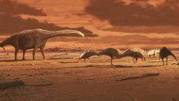 Artist's impression of dinosaurs on prehistoric mudflat. Credit Jon Hoad