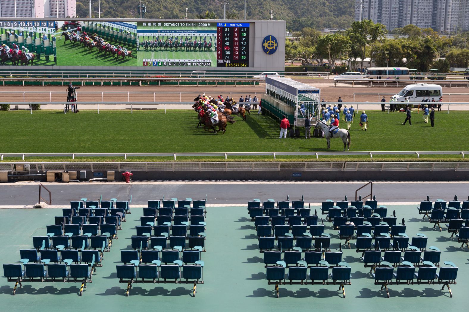 Horses gallop past empty public stands at the Sha Tin Racecourse in Hong Kong on February 23.