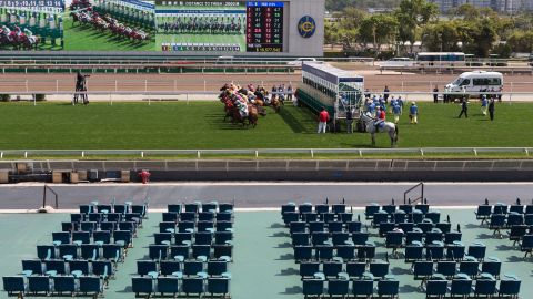 Horses gallop past empty public stands at the Sha Tin Racecourse in Hong Kong on February 23.
