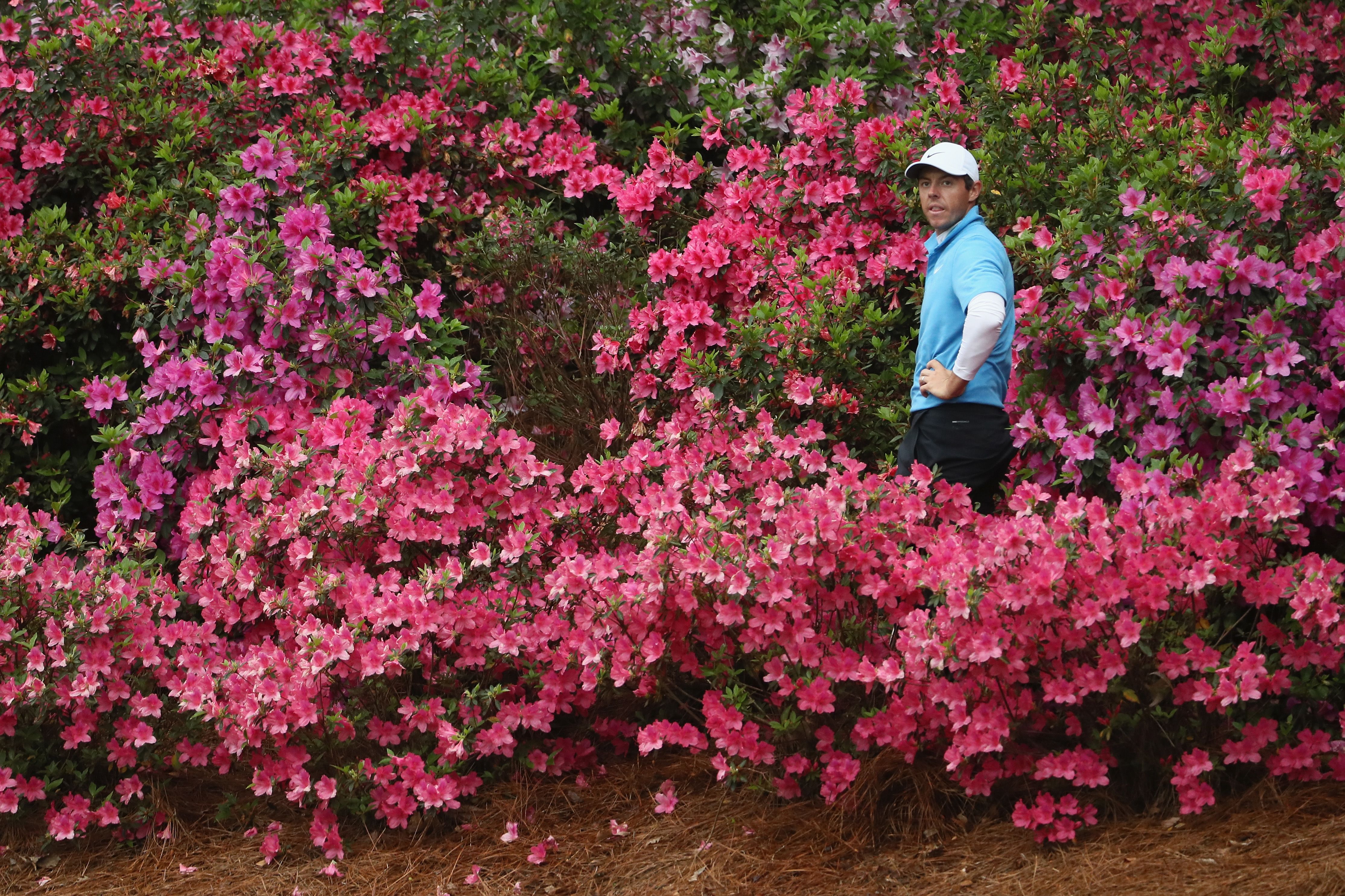 <strong>Grand Slam chasing:</strong> McIlroy just needs the Masters to become only the sixth player to win a career grand slam of all four major titles alongside legends of the game Tiger Woods, Jack Nicklaus, Gary Player, Ben Hogan and Gene Sarazen.