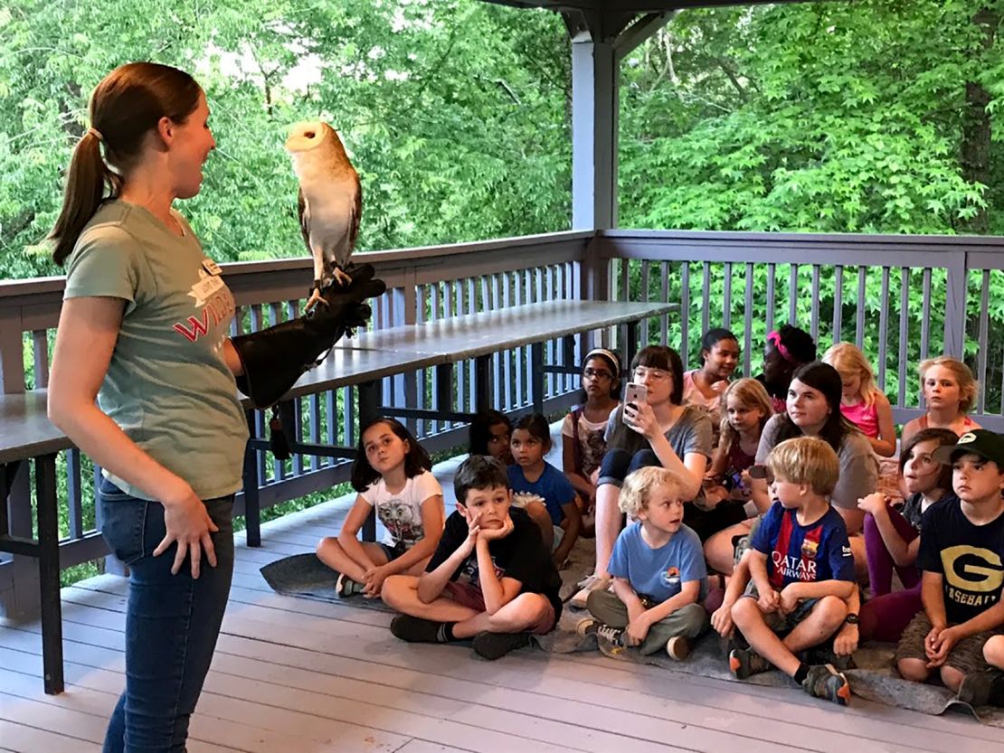An AWARE staff member shows off their ambassador barn owl to a group of children. Ambassadors are animals whose permanent injuries prevent them from surviving in the wild. 