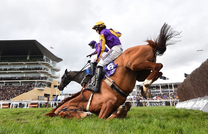Copperhead, ridden by Harry Cobden, falls during a steeplechase race in Cheltenham, England, on Wednesday, March 11.