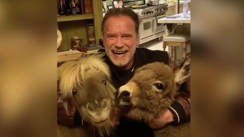 A screengrab from Arnold Schwarzenegger's video encouraging his Twitter followers to "stay at home as much as possible" during the coronavirus outbreak.