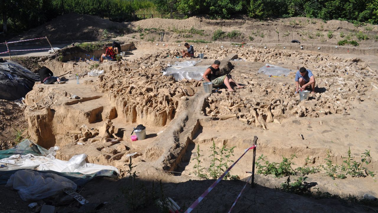 The wealth of bones used to construct the site are visible during excavation.