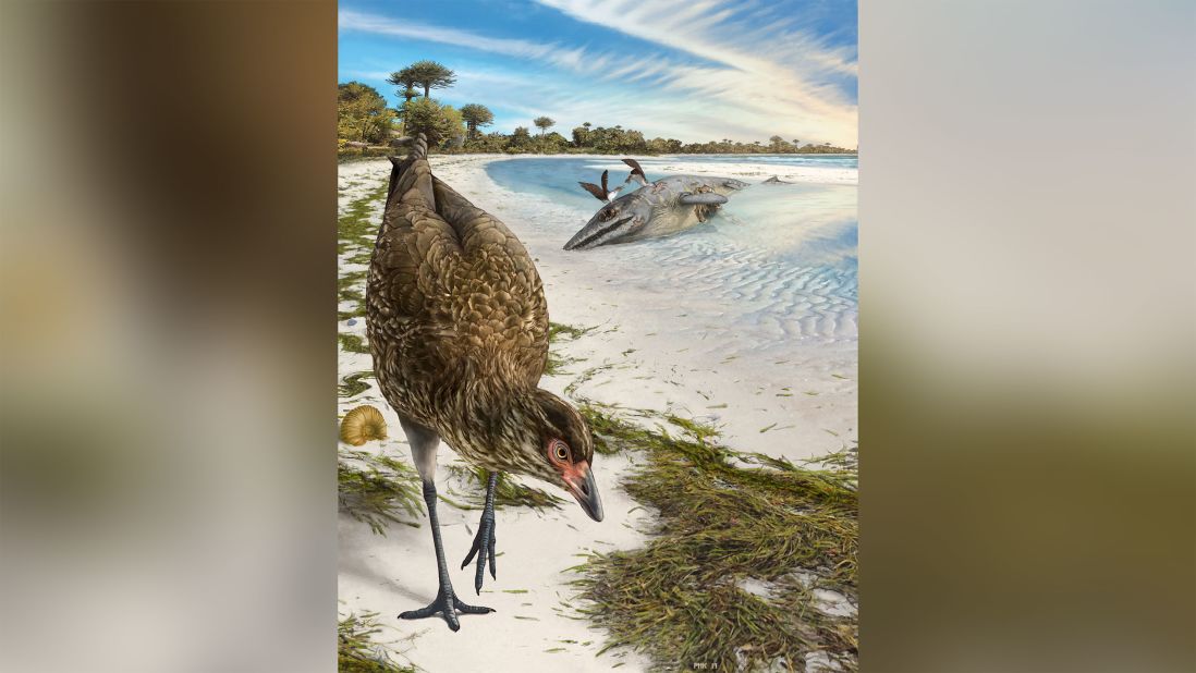 Pterosaurs Thrived In Antarctic Forests Over 100 Million Years Ago