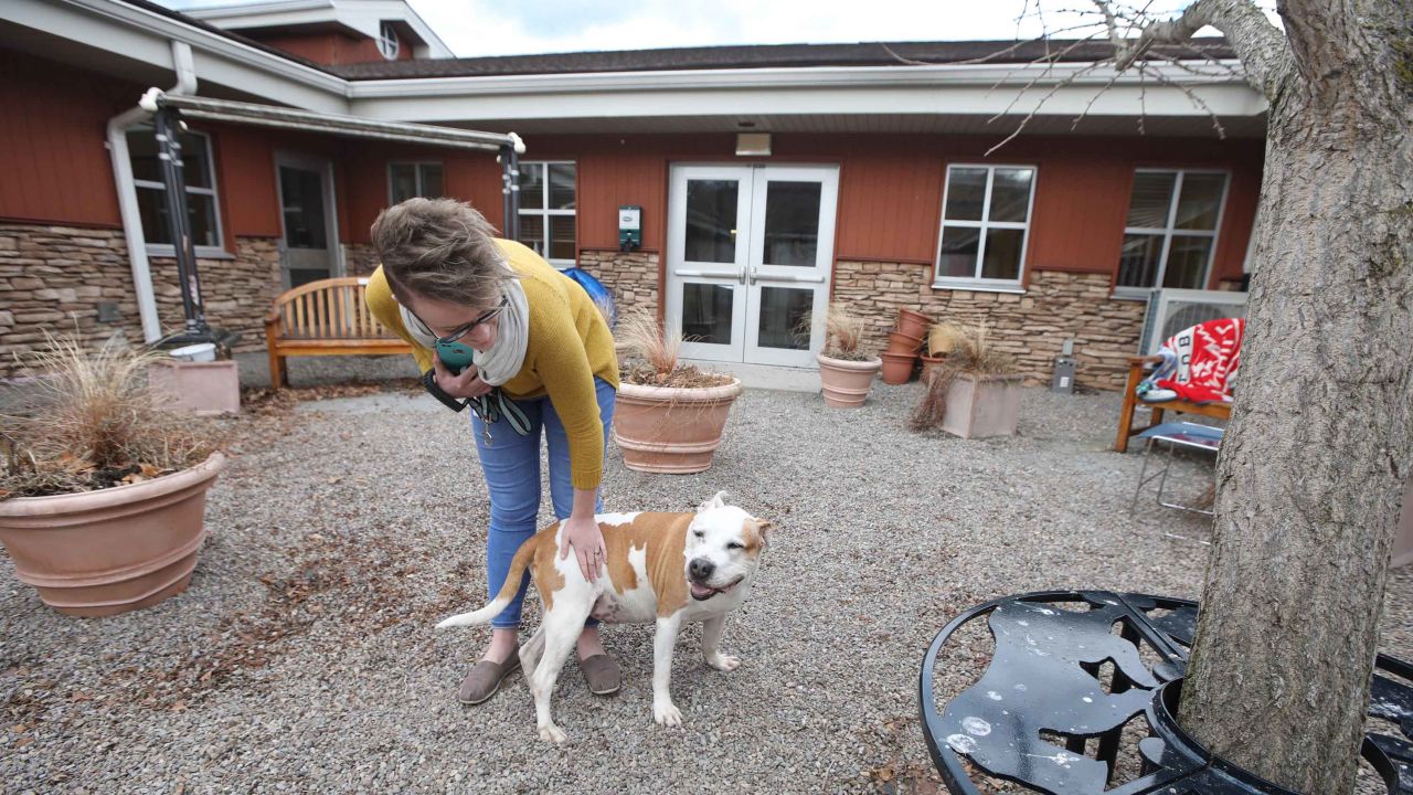 Paige Engard of Lollypop Farm visits Maynard, a 10-year-old mix, in Fairport, New York. The shelter is waiving adoption fees amid the coronavirus crisis.