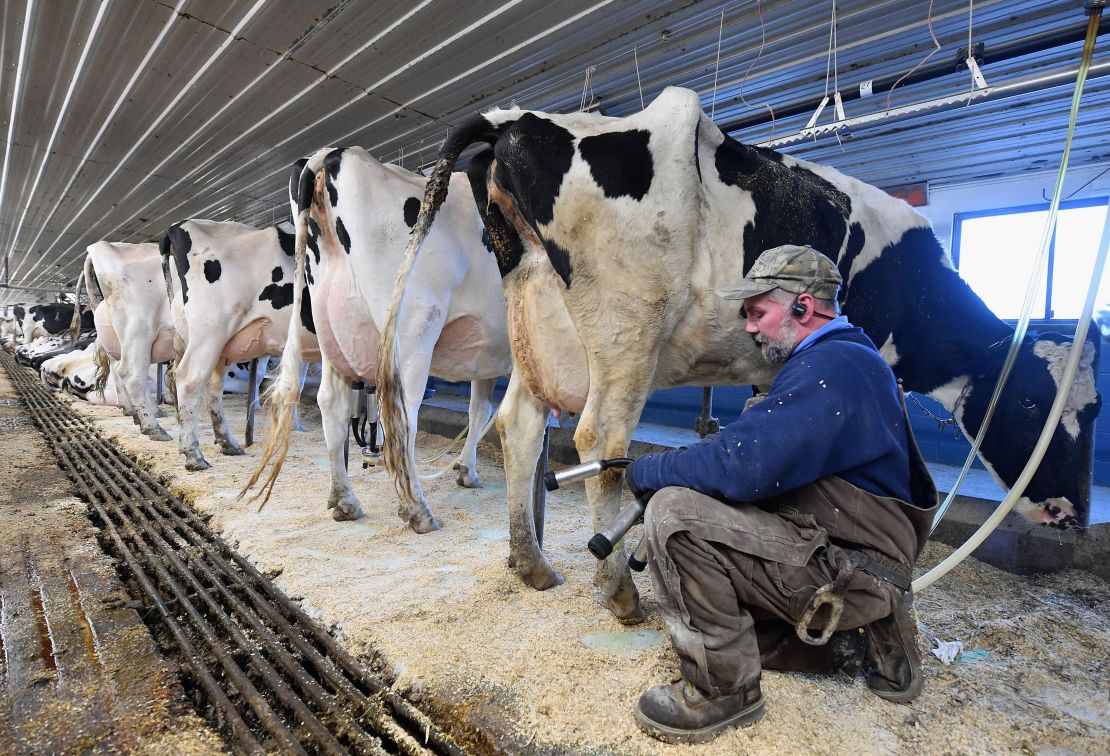 Industry associations representing farmers have said they're not too worried about the short-term food supply, but if their workers get sick, that could strain their operations. (Angela Weiss/AFP/Getty Images)