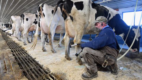Industry associations representing farmers have said they're not too worried about the short-term food supply, but if their workers get sick, that could strain their operations. (Angela Weiss/AFP/Getty Images)