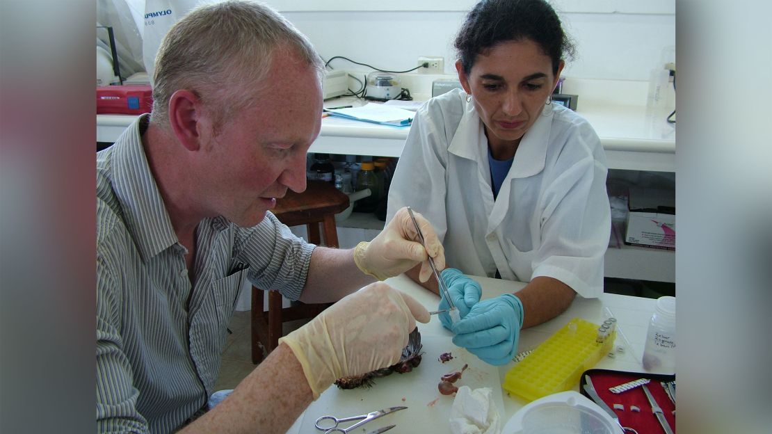 The cause of "zoonotic spillover," or transfer from bats or other wild species, is almost always human behavior, says Professor Andrew Cunningham from the Zoological Society of London.