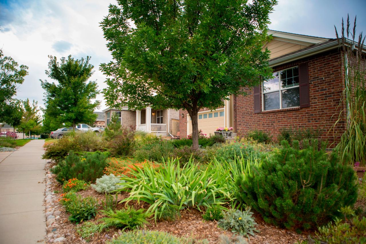 Xeriscape Colorado, a program by non-profit Colorado WaterWise, promotes water-saving approaches to landscaping