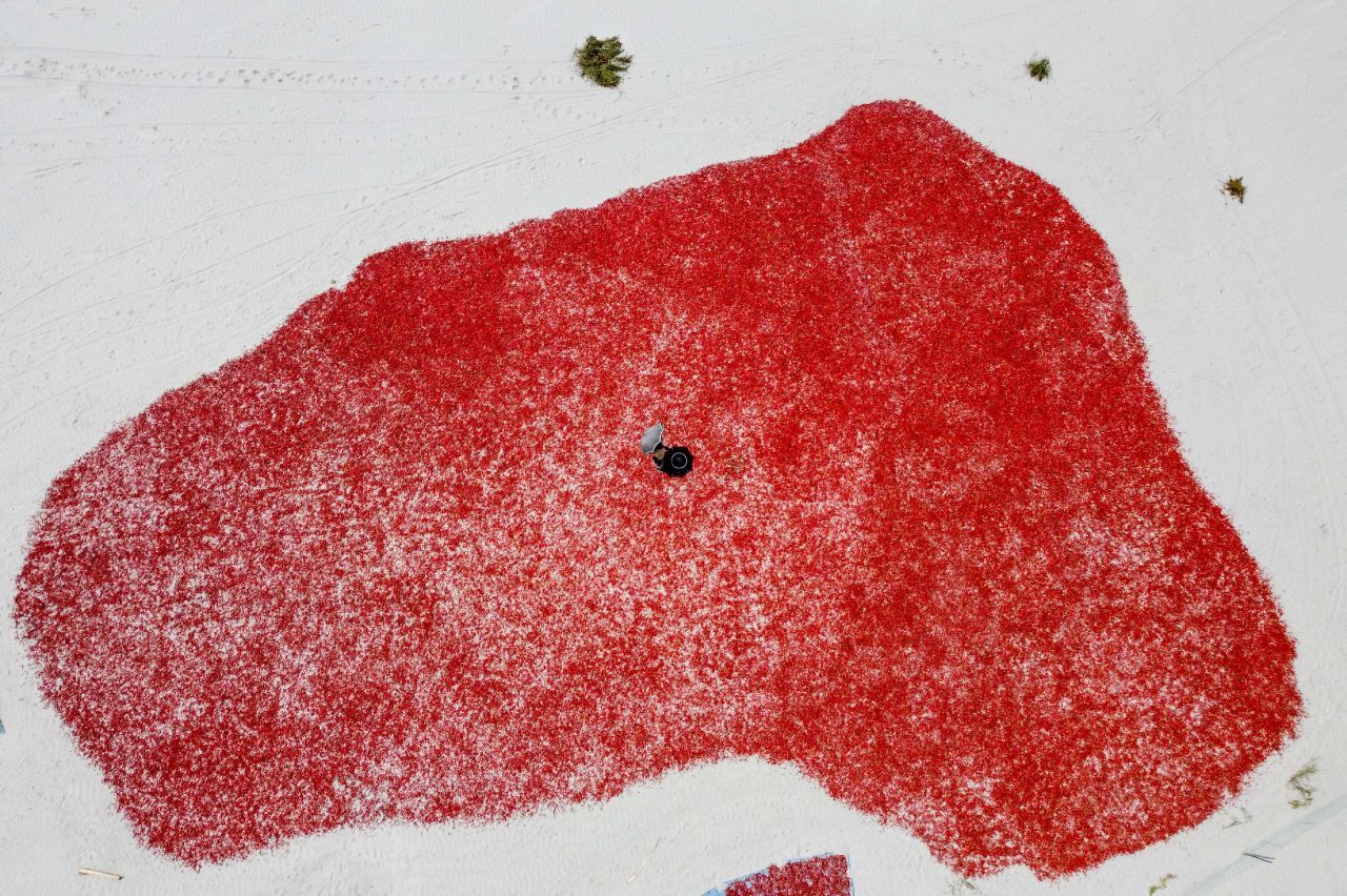 This aerial photo shows a worker leaving chili peppers to dry in Bogra, Bangladesh, on Tuesday, March 17.