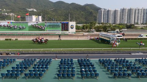 Horses gallop past the empty public stands at Sha Tin Racecourse.