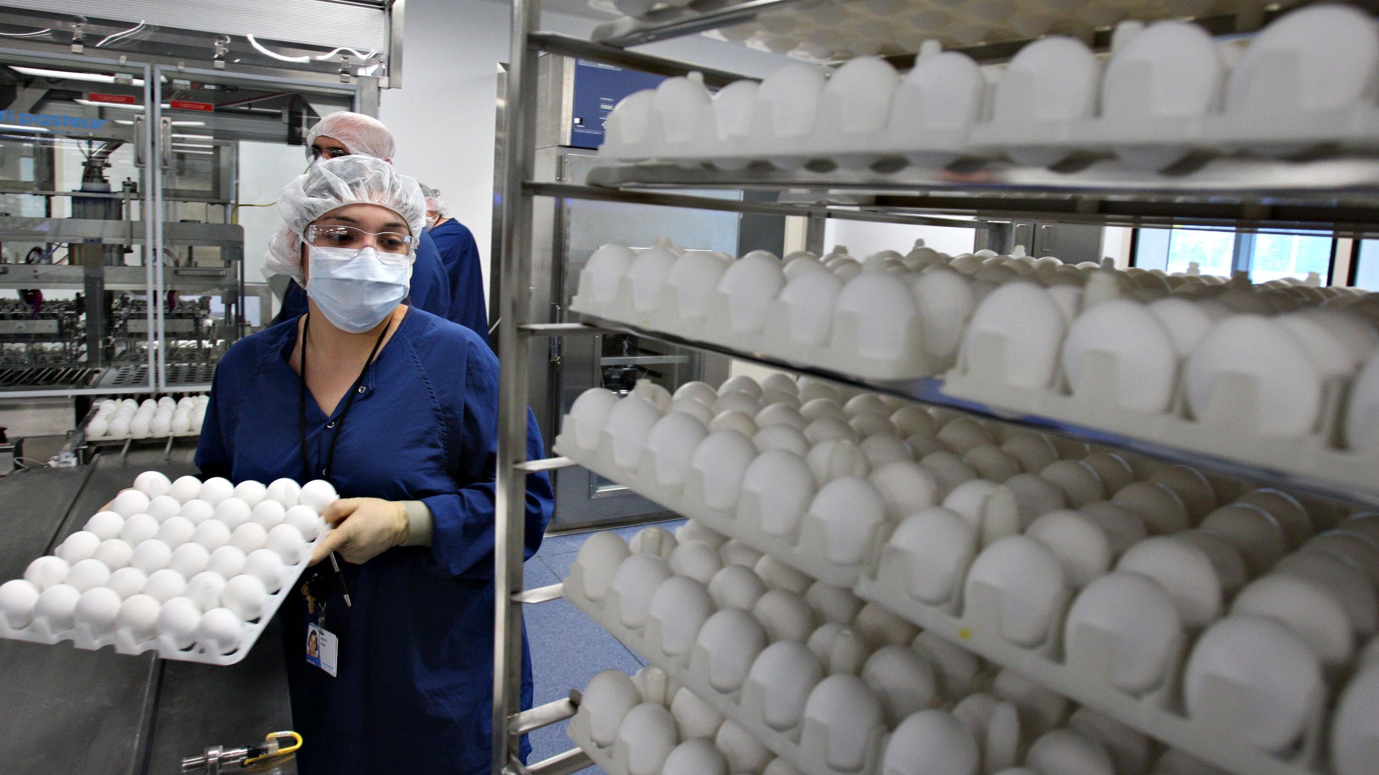 Trays of chicken eggs are loaded onto racks during a demonstration at a Sanofi Pasteur facility in Swiftwater, Pennsylvania in July 2007. 