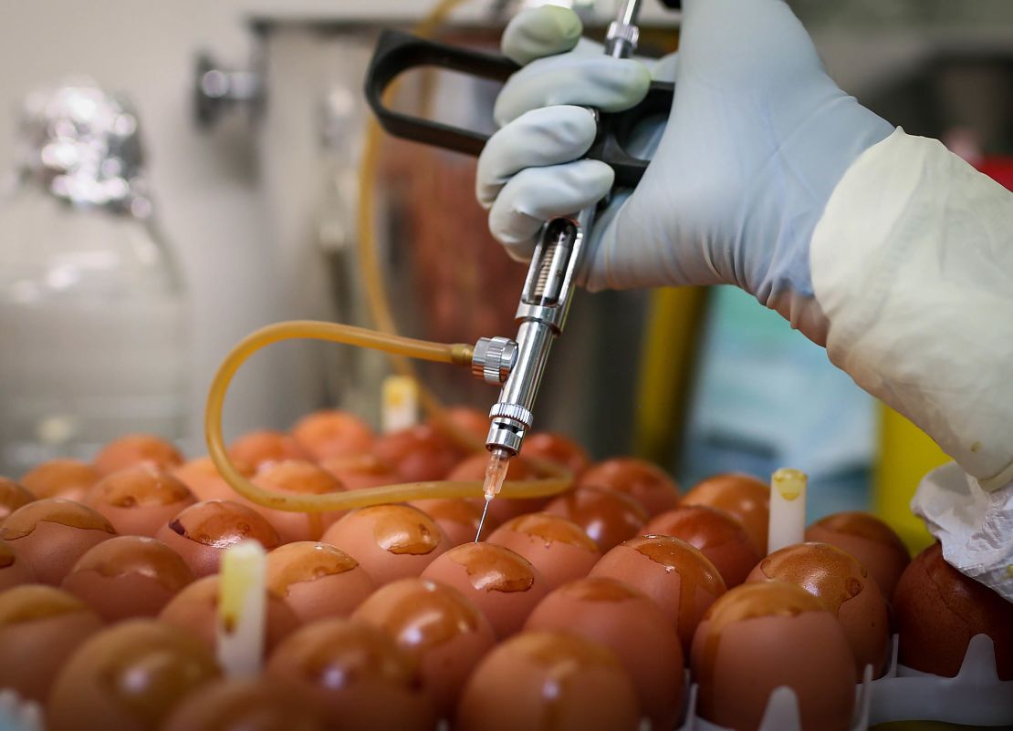 A laboratory technician injects influenza virus into hens' eggs during vaccine research at the Torlak Institute of Virology in Belgrade, Serbia, on March 3.