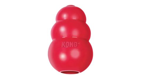Kong Classic Dog Toy 