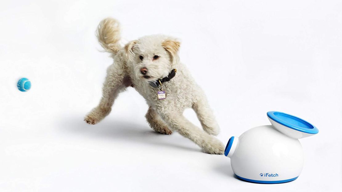 OurPets IQ Treat Ball - College for Pets