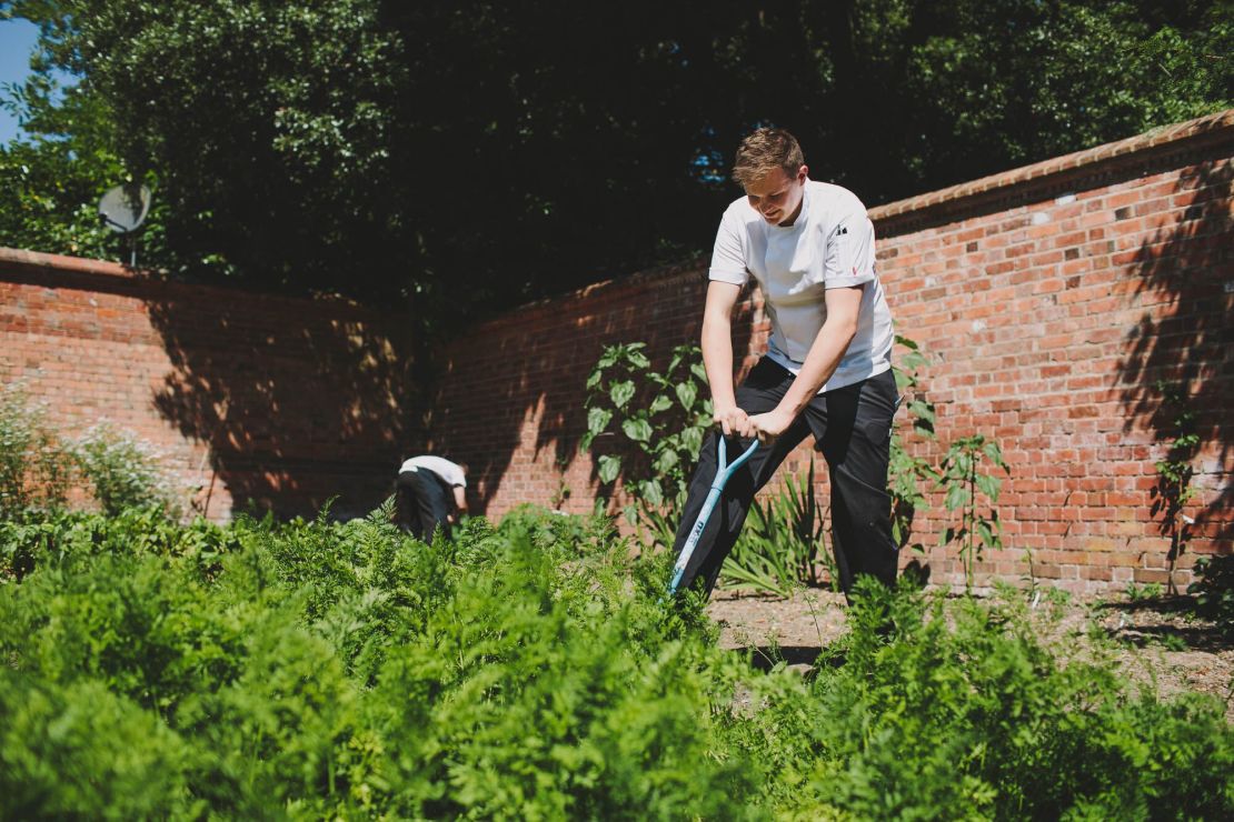 Vegetables are sourced from Hampton Manor's gardens. 