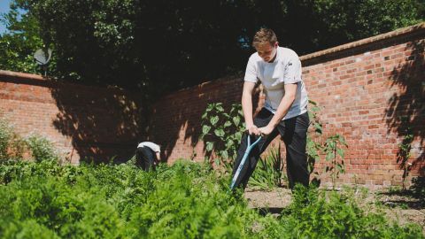 Vegetables are sourced from Hampton Manor's gardens. 
