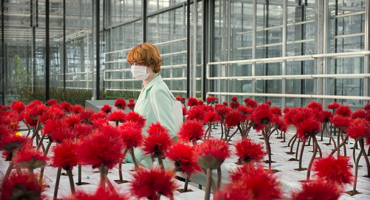 <strong>"Little Joe"</strong>: Alice (Emily Beecham), a single mother and dedicated senior plant breeder at a corporation engaged in developing new species. She engineers a special crimson flower, remarkable not only for its beauty but also because this plant makes its owner happy. Against company policy, Alice takes one home as a gift for her teenage son, Joe. They christen it 'Little Joe.' But as their plant grows, so too does Alice's suspicion that her new creation may not be as harmless as its nickname suggests. <strong>(Hulu) </strong>