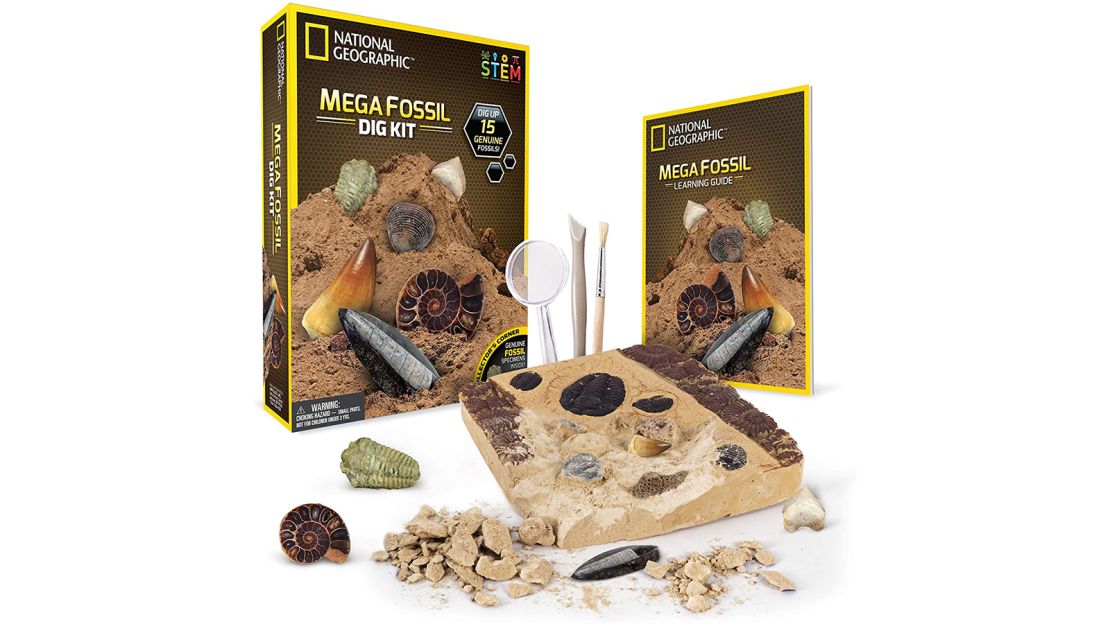 Mega Fossil Dig Kit