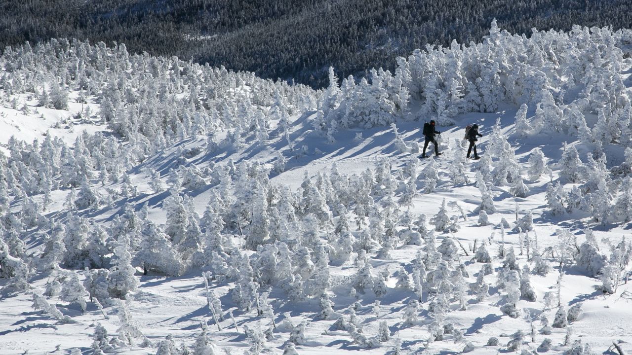 <strong>Mount Marcy, New York: </strong>On March 7, hikers snowshoe through spruce trees on the eastern slope of New York's tallest mountain. 