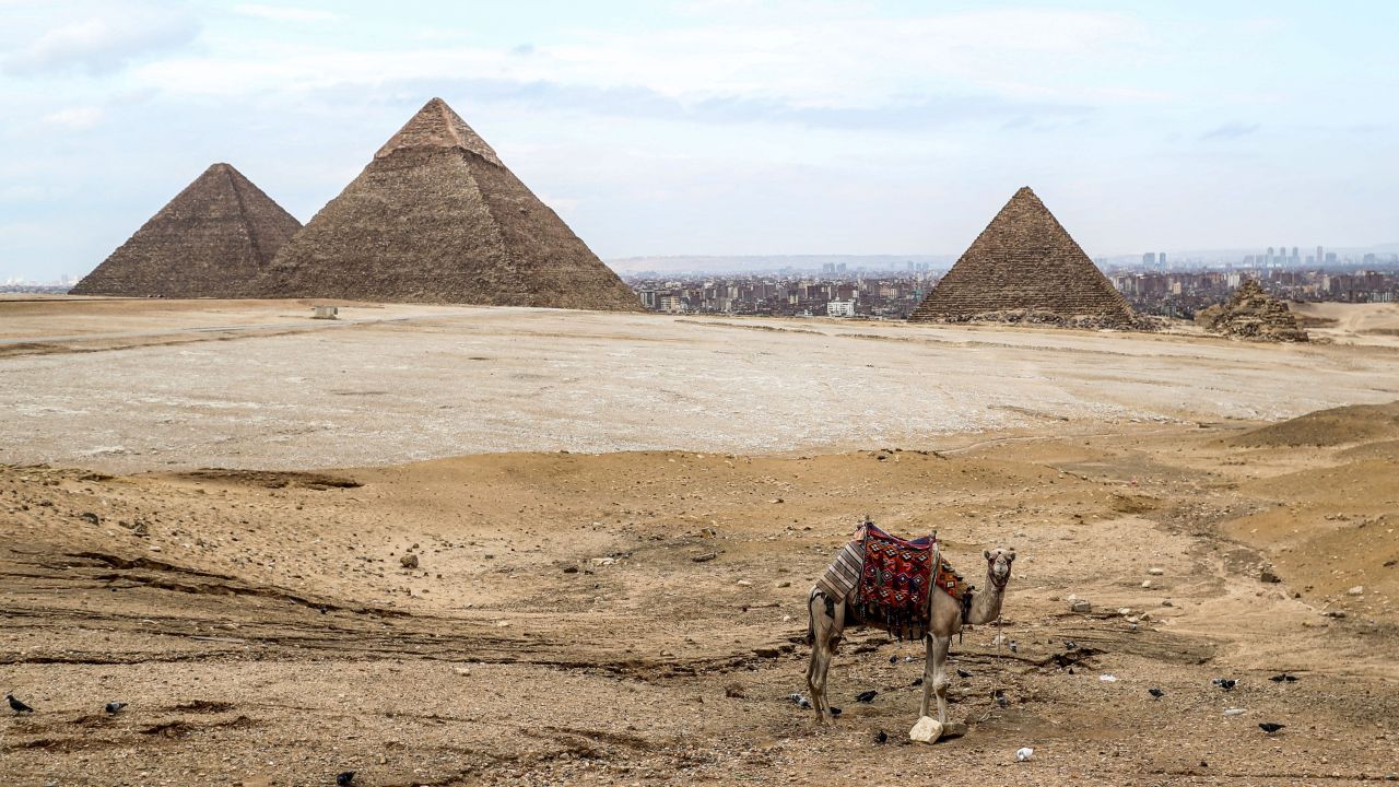 <strong>Giza, Egypt: </strong>On March 13, a camel waits at an overlook in front of the Giza Necropolis. 