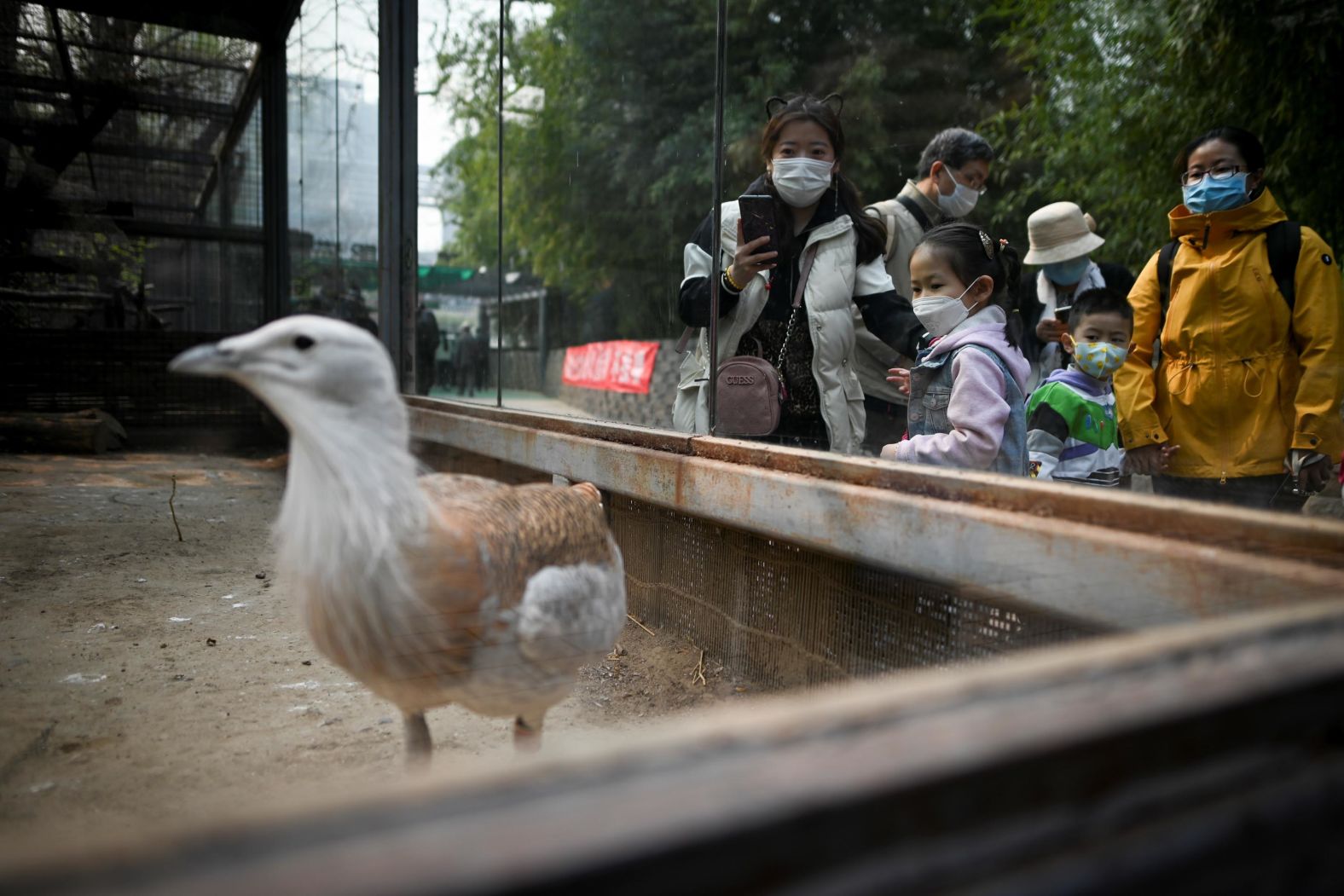 People visit the Beijing Zoo after it reopened its outdoor exhibits to the public.