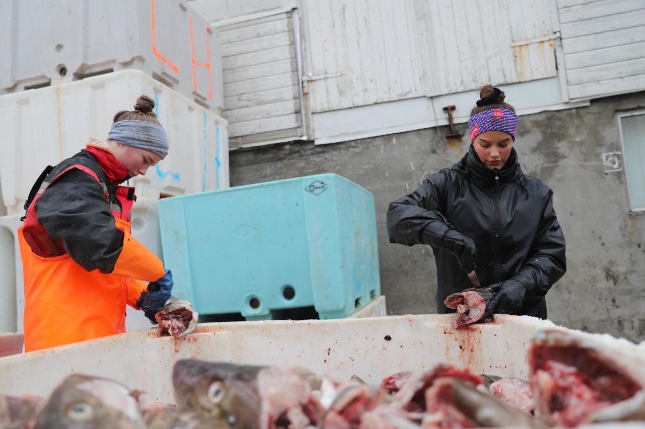 Amalie Hansen, right, and Anna Bless cut cod tongues to earn money in Henningsvær, Norway.