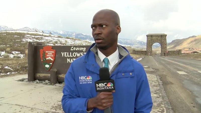 A reporter's reaction when a bison herd approaches has the internet in stitches. Yellowstone says he did the right thing | CNN
