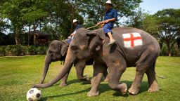 Elephants, trained to play football, compete against each other painted as the England and Brazil teams at Maesa Elephant Camp on April 21, 2010 near Chiang Mai, Thailand. (Photo by Bronek Kaminski/Barcroft India/Getty Images)