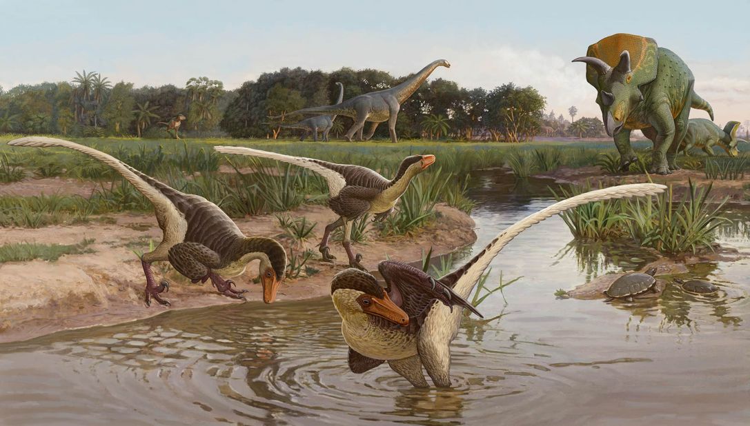 This artist's illustration of Dineobellator notohesperus shows them in an open landscape, across what is now New Mexico, along with Ojoceratops and Alamosaurus in the background. 