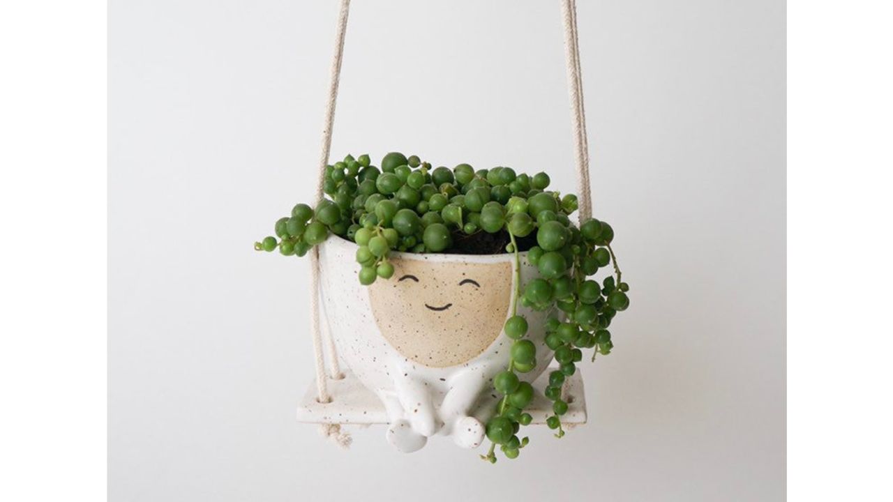 Hanging Planter Maya on a Swing