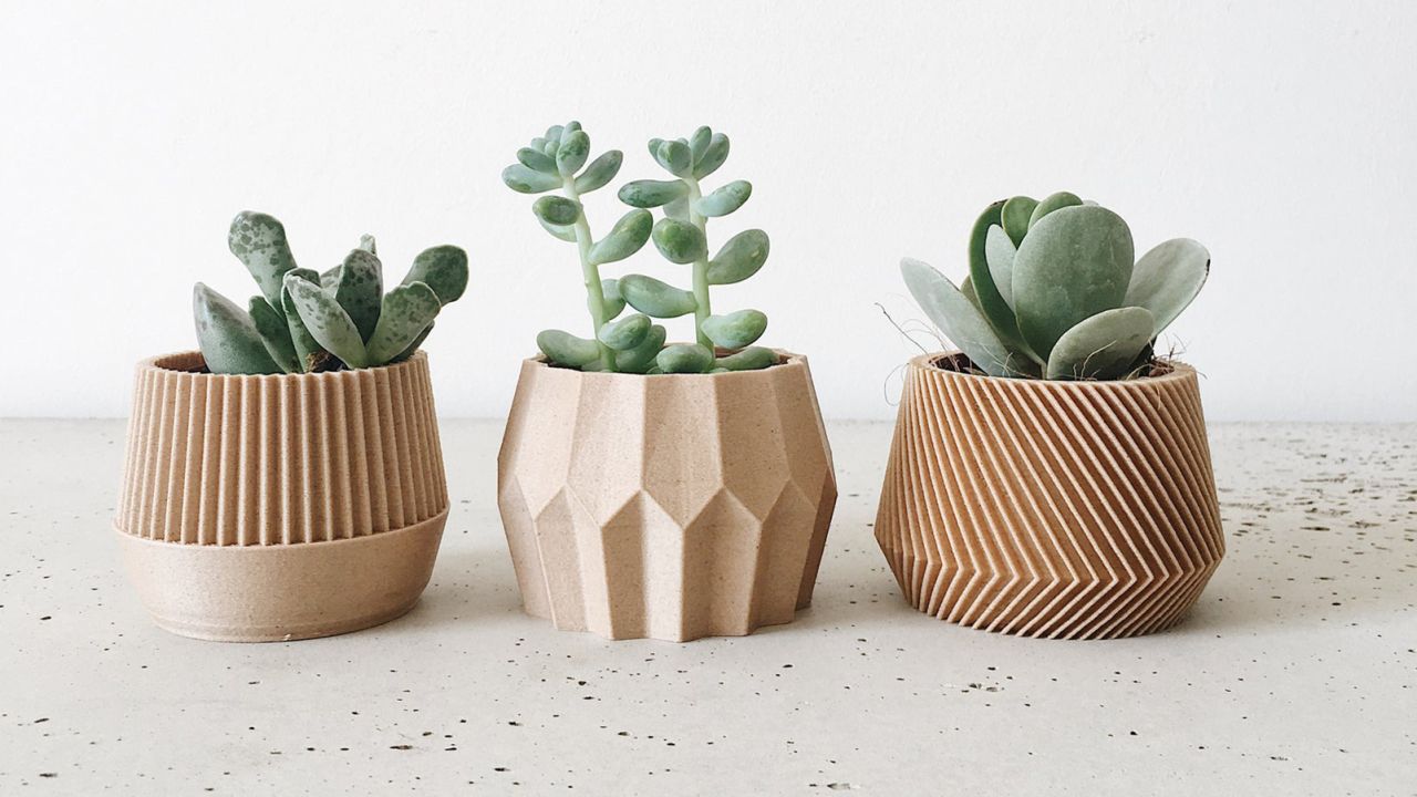 Set of 3 small succulent plant pots 