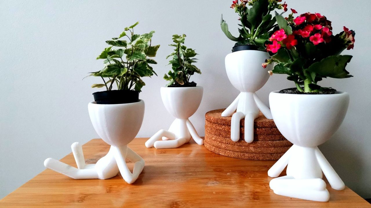 Figure Plant Pot