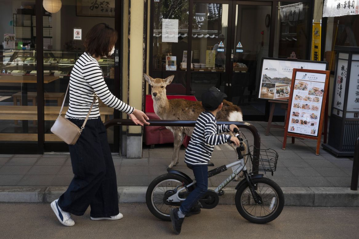 A boy rides his bike past a deer that was wandering around a shopping area in Nara, Japan, on Thursday, March 19.