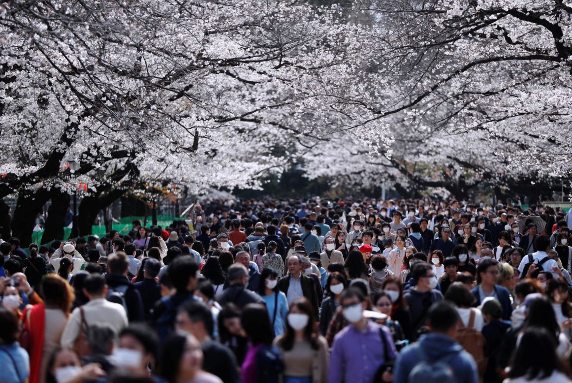 People are seen wearing face masks as they walk past blooming cherry blossom trees in Tokyo on Sunday, March 22.