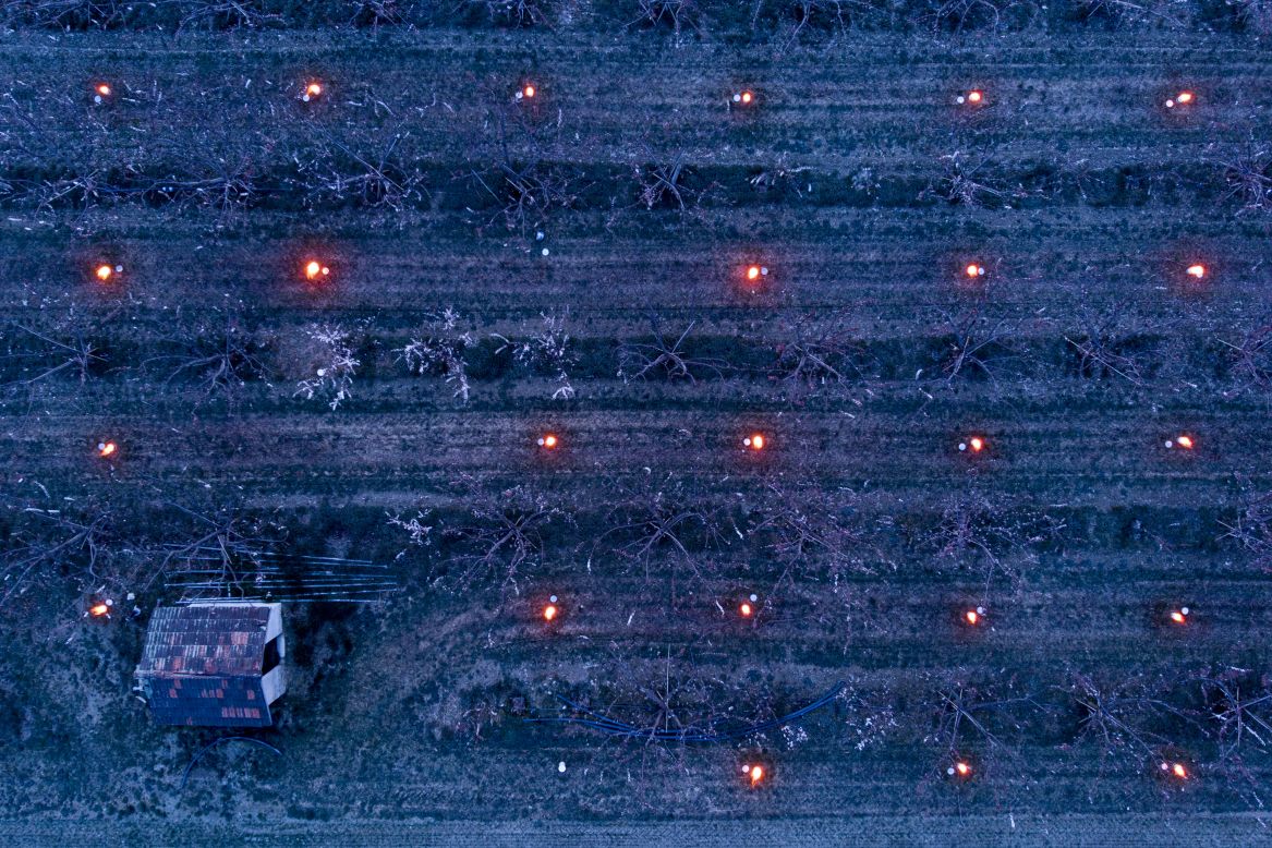 Heaters are placed in the middle of blossoming apricot trees as the sun rises in the Swiss Alps on Thursday, March 26. Fruit trees are often sprayed with water to protect them from freezing on cold spring nights.