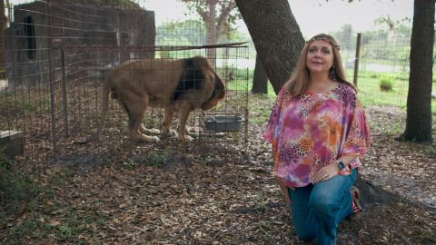 Animal activist and big cat owner Carole Baskin appears in 'Tiger King."
